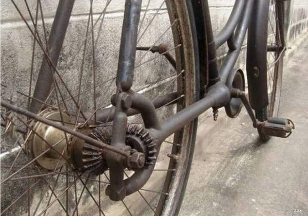 FB IMG 1618684628453