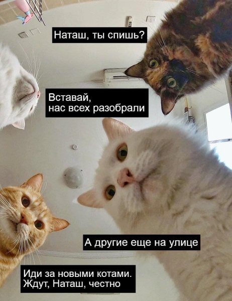 Опаньки!