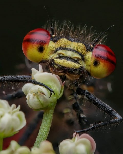 04-18-31-194117907 182711316981338 7620516535934305362 n