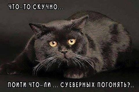 Что-то скучно...
