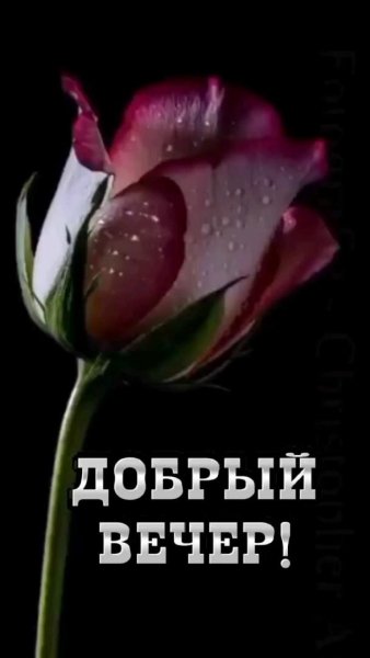 Всем!