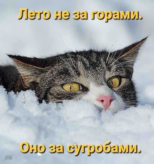 2XJShmIc -o0IoDk SKOWNPpVLZntIbcL3PdH92 B4vRU