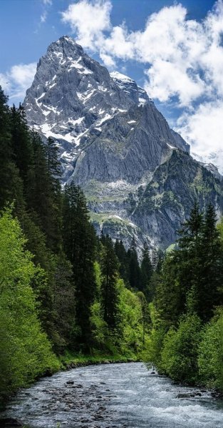 Арт Природа