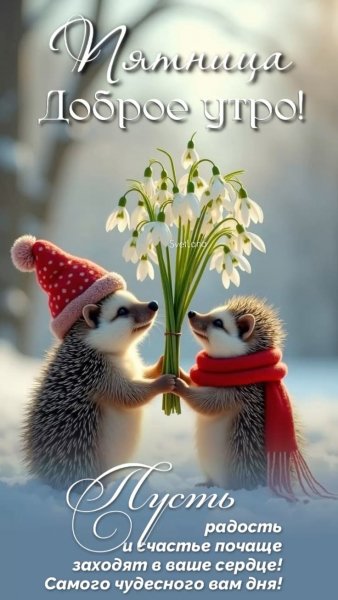 B6063edb32d6a8f82802d5a61761182d