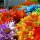 Vivaldi  Four Seasons  Spring.mp3 - Vivaldi  Four Seasons  Spring.mp3