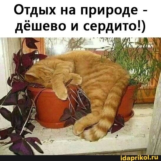 b9b905da7d5d822af57f48346c0b5567
