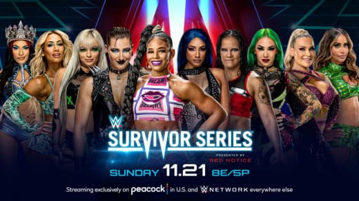 WWE (384)