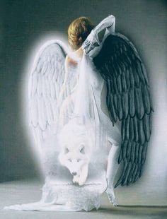 d8fb9c42afe291562d6bb0251dea0f0d