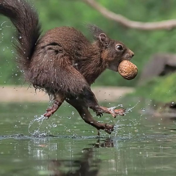 F78a22d60b9d805e495bc4b355768d89