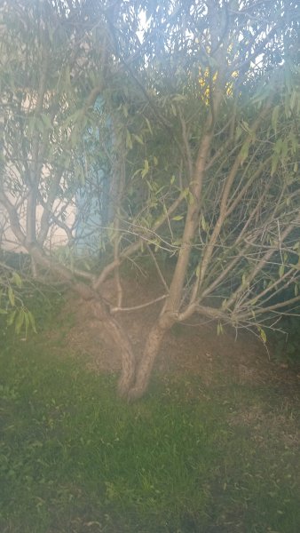 IMG-20250920-WA0003