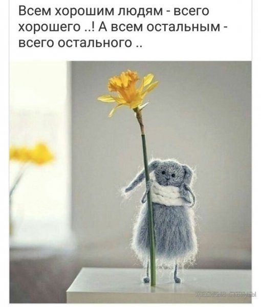 ZoU1Q1XcAQE