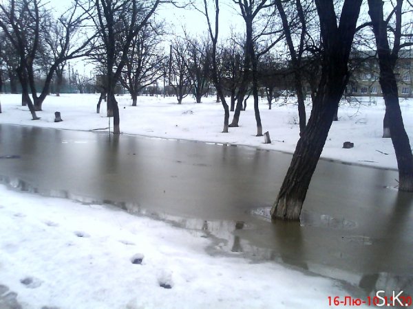 Изображение (7)