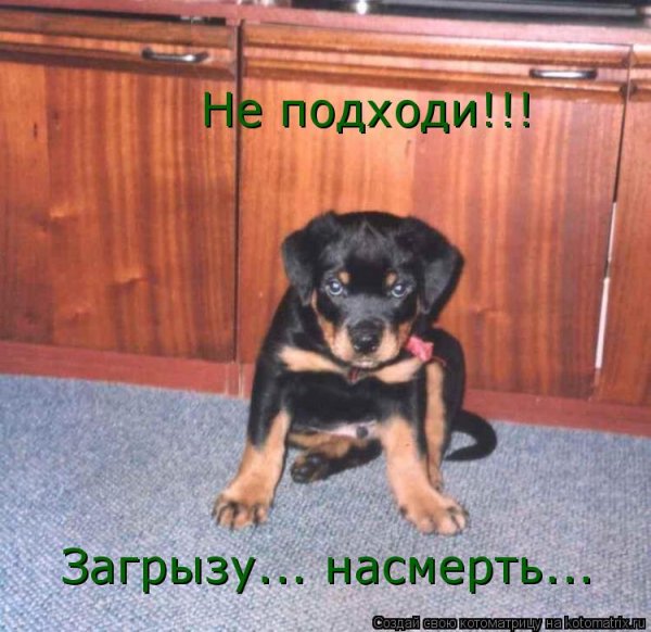 Насмерть...