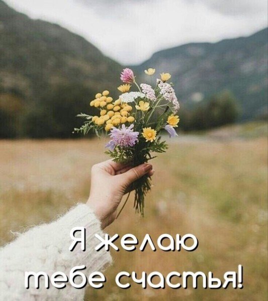 picture_349131173