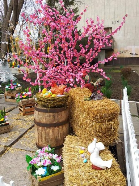 FB IMG 1619707501768