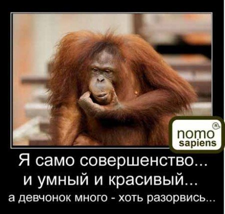 pics