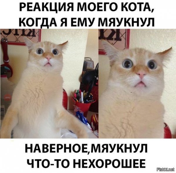 ))