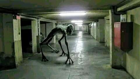 Creature