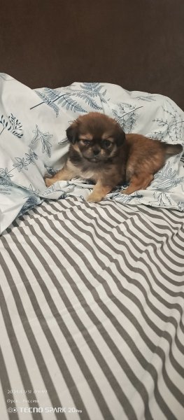 picture_380392579