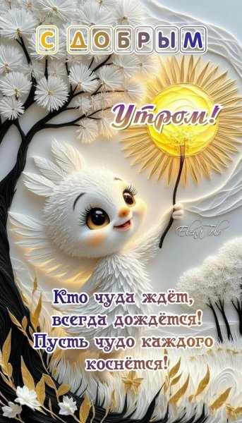 B1bf0da74f180aa74c3b1ad7e91b3234