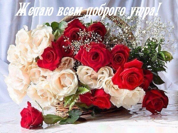 IMG 20161208 213440 60