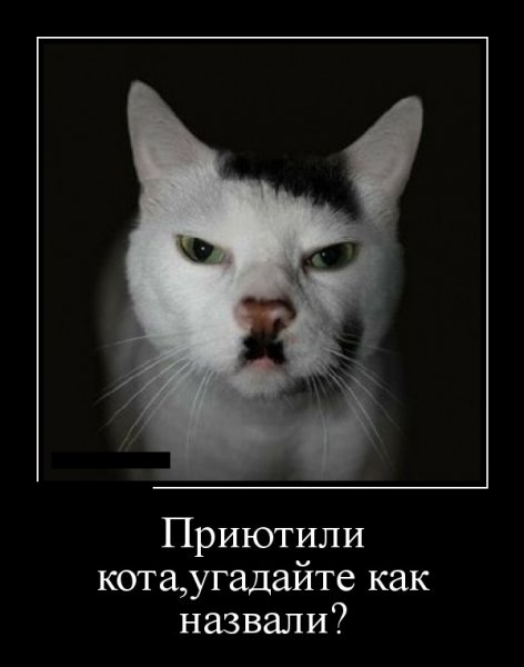 Угадайте)