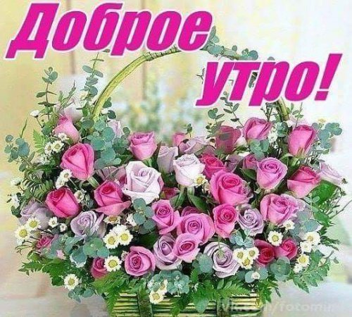 доброе утро