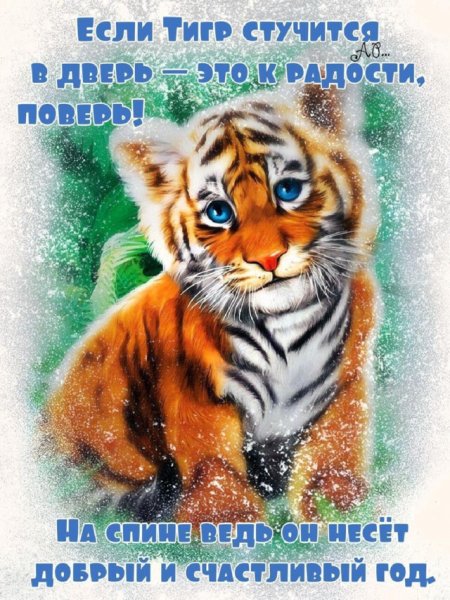 Esli tigr stuchitsya-nashobmen.org