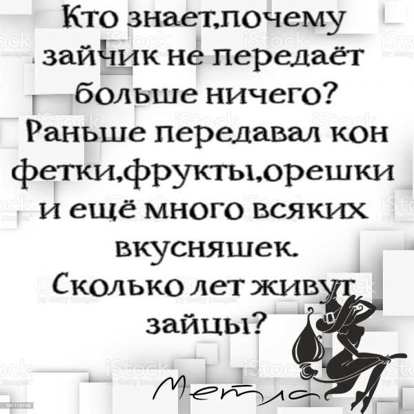 picture_379554735