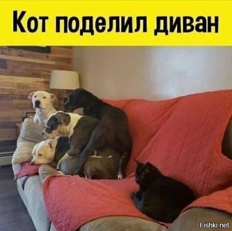 Красавчик!