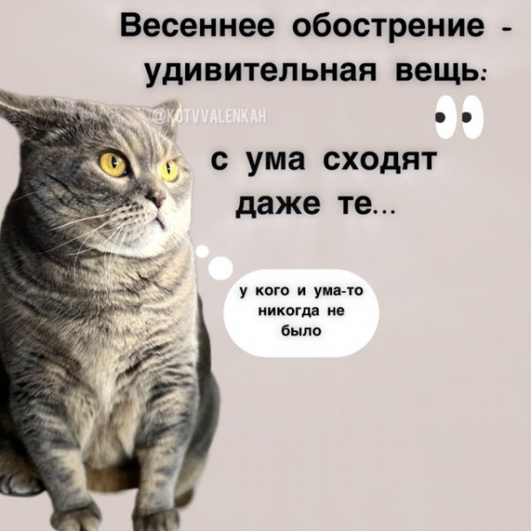 Bdcf688a9b 19874519