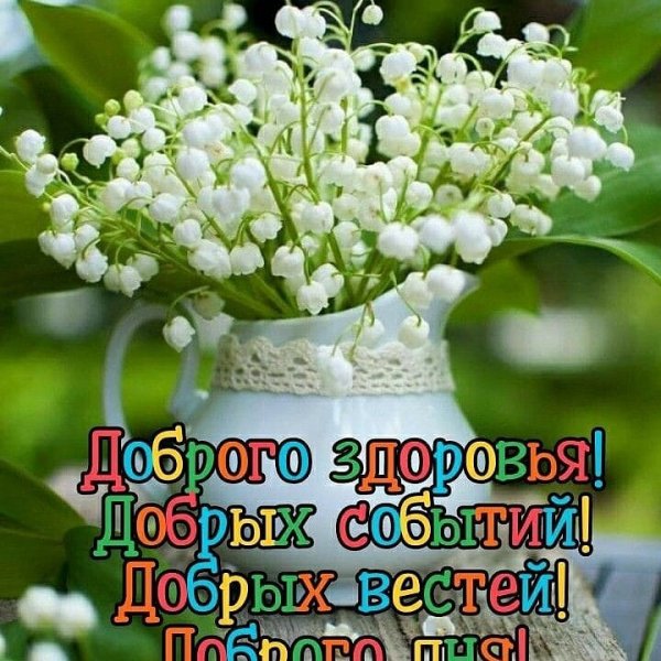 IMG-20210603-WA0000