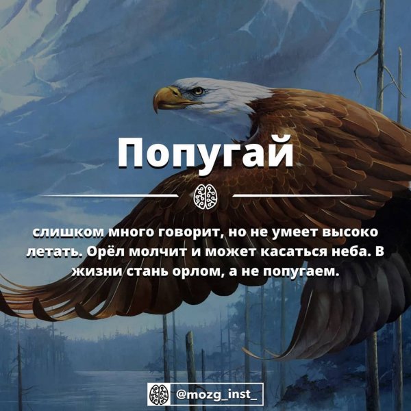Орёл