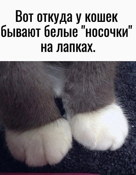 PR08cLurIz9oH5odZ8dvovUVKgSXcBa7dGckfuzNPcNpf2DvJwOoJk Nga-T