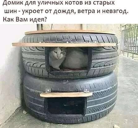 FB IMG 16354342015301404