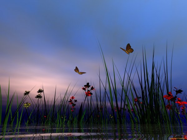 Babochki-cvety-nasekomye-rasteniya-trava-20022