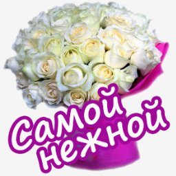 розы