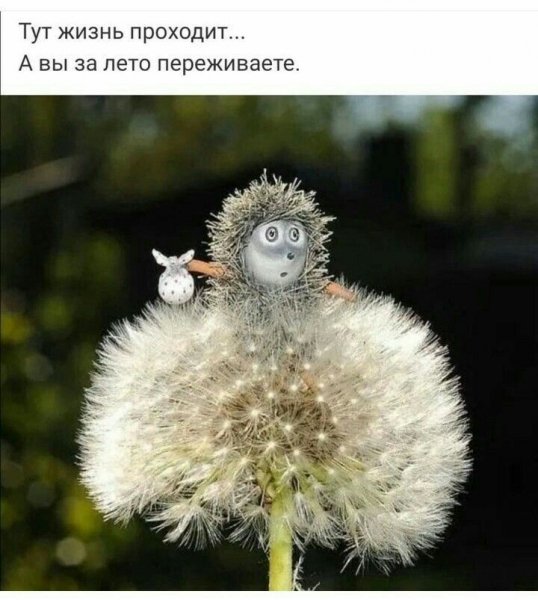 F9f2e117ffc13c26f0f736f96151fe97