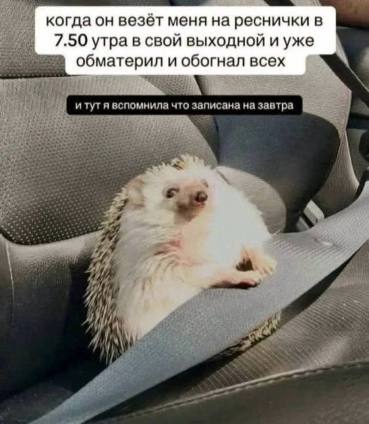 Memov-i-kommentariev-vash-zarjad-pozitiva-iz-socsetej-7