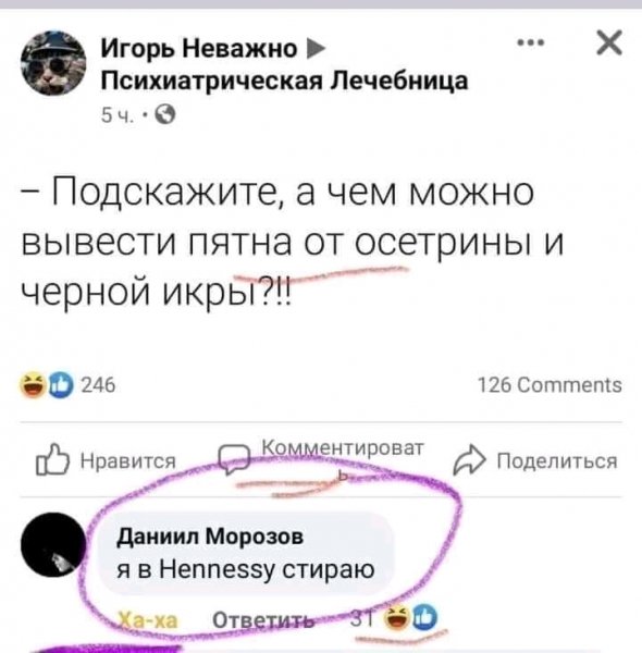 FB IMG 16363022792584920