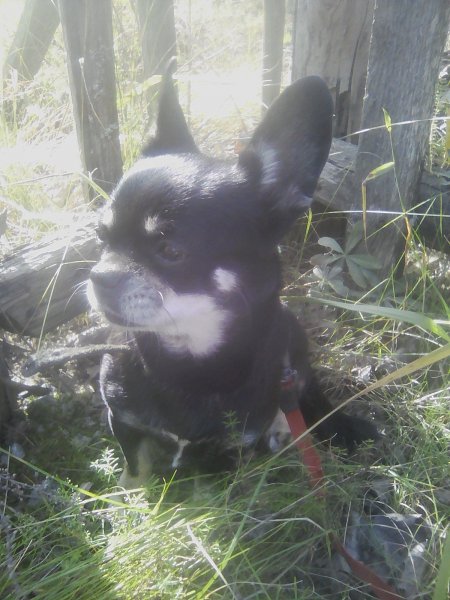 IMG 20250913 142850 BURST002