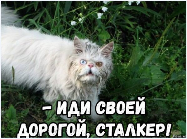 ))