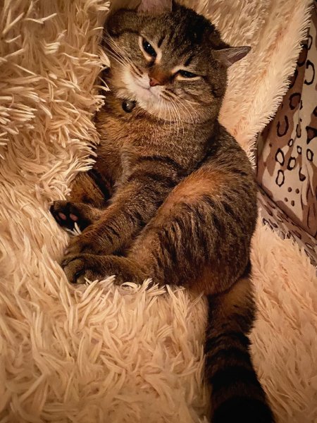 DA4E74C0-740B-40BB-A4E3-A2A9F45C8D3A