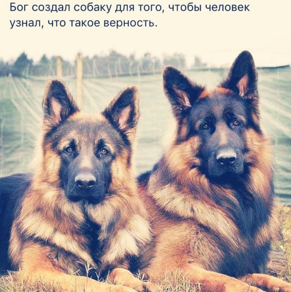 Так!