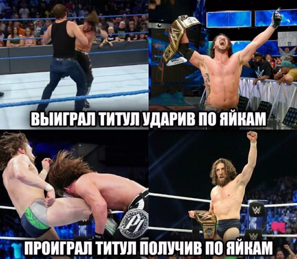 Wwe (384)