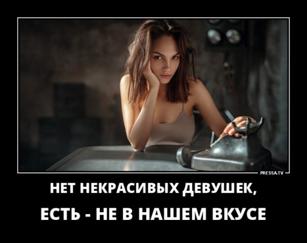 picture_235829719