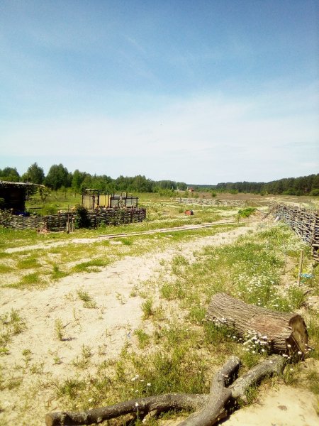 Тишь да гладь 200607 1050