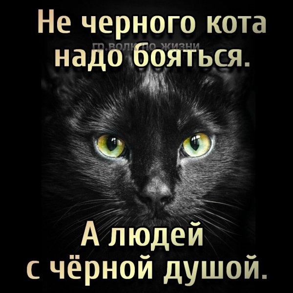 IMG 20210718 105929