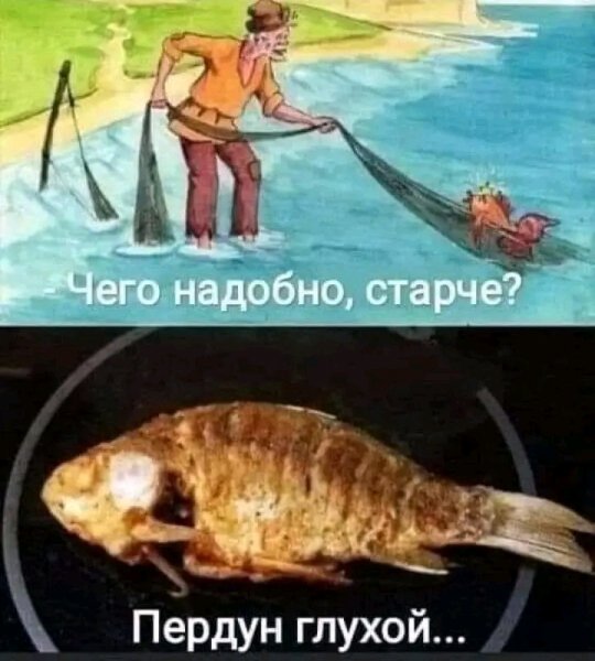 FB IMG 17016210475971096