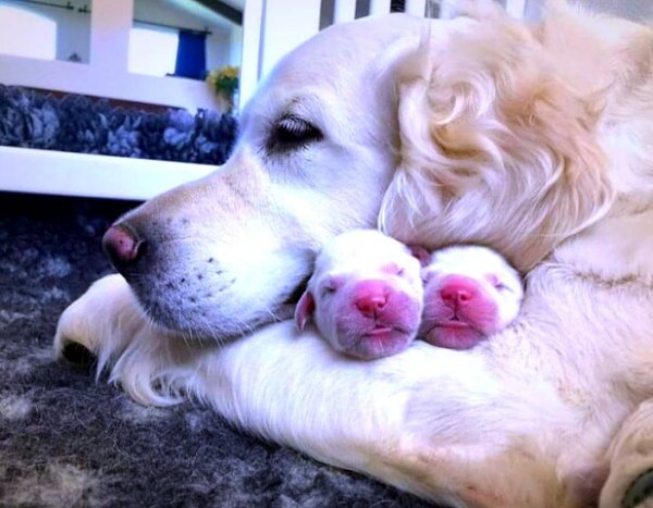 image (3) - 2020-09-01T012554.654